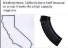 California-Bans-Itself.jpeg