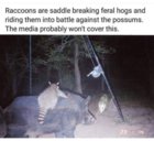 Screensho1(28).jpg