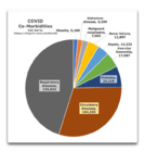 covid-comorbidities-pie-chart-1.png