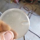 20200908_131620.jpg