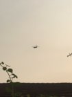 F6F06870-5B60-4C04-B234-718CDC573548.jpeg