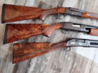 Black walnut.JPG
