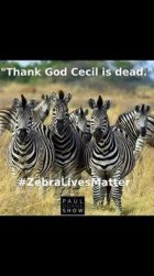 zebra-lives-matter-jpg.jpg