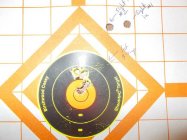 Hybrid target#1.jpg