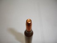 dougs rifle and bullets 005.JPG