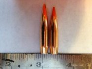 Berger 195 gr.jpg