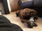 20200911_180534.jpg