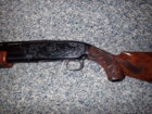 Model 12 SP.JPG