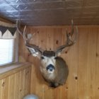 20200928_103827.jpg