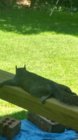 nap_time.jpg