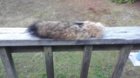 IMG_20200929_183611.jpg