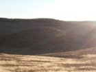 20201001_072702.jpg