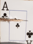 20201001_183539.jpg