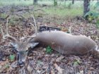 Ghost Buck 6BR - 100520.jpg