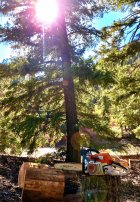 6 Oct 2020 firewood.jpg