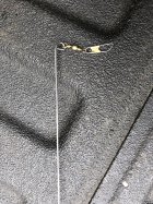 IMG_1701.jpeg