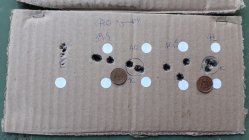 03 shots load development.jpeg