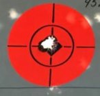target2.JPG