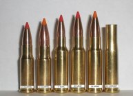 SquirrelCartridges.jpg