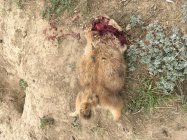 F0AD101A-3952-4417-B254-7EA480873EA8.jpeg