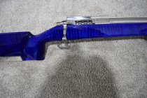 blue maple 011.JPG