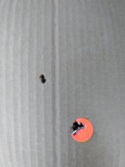 457 target.jpg