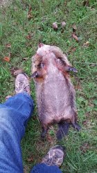 20150905_183731.jpg