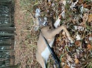 C8B6960F-F8F1-497A-8E99-B12523EEFF4B.jpeg C8B6960F-F8F1-497A-8E99-B12523EEFF4B.jpeg