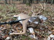 271D656A-7C43-4B61-9EF8-CC3323B295F0.jpeg 271D656A-7C43-4B61-9EF8-CC3323B295F0.jpeg