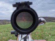 hunting1.jpg