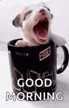 received_2639916009403664-1.png