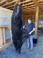 BEAR-RESIZE.jpg