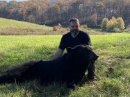 BEAR-RESIZE-1.jpg