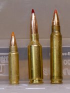 2020Nov11_1040938_three cartridges_1500h.jpg
