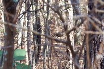 2020_1102_09314600.jpg
