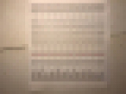 D7421079-C837-4218-BD02-C67F163F9011.jpeg