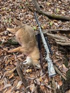 COYOTE-1.jpg