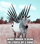 E493CEAC-A217-4255-9F94-08EB638DE6DD.png