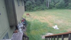 IMG_20200627_151011_1.jpg