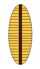 1605620898948.png