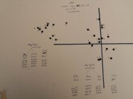 IMG_20200610_093338.jpg