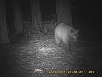 user6923_pic615_1499273101_thumb.jpg