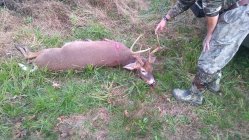 IMG_20201120_164215549.jpg