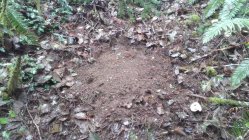 IMG_20201124_121022.jpg