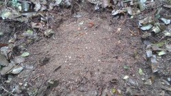 IMG_20201124_121023.jpg