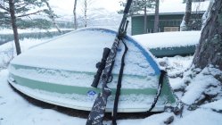 små bilder (7).JPG
