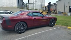 20170612_120317.jpg