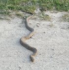 20180501_204235.jpg