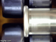 Rim LA.gif