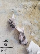 20201205_143902.jpg